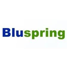Bluespring logo